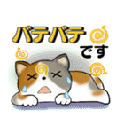 可愛い猫さん達のスタンプ♡夏編（個別スタンプ：19）