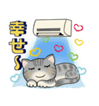 可愛い猫さん達のスタンプ♡夏編（個別スタンプ：23）