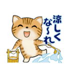 可愛い猫さん達のスタンプ♡夏編（個別スタンプ：24）