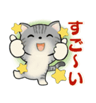 可愛い猫さん達のスタンプ♡夏編（個別スタンプ：33）
