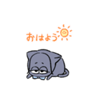 仲良しうさことみーこ（個別スタンプ：6）