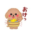 かわいいトイプードル☆だじゃれスタンプ（個別スタンプ：3）