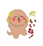 かわいいトイプードル☆だじゃれスタンプ（個別スタンプ：9）