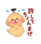 かわいいトイプードル☆だじゃれスタンプ（個別スタンプ：13）