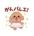 かわいいトイプードル☆だじゃれスタンプ（個別スタンプ：26）