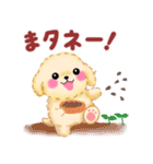 かわいいトイプードル☆だじゃれスタンプ（個別スタンプ：38）