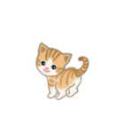 写真に貼れるちび猫【言葉なし】（個別スタンプ：1）
