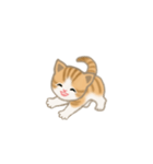 写真に貼れるちび猫【言葉なし】（個別スタンプ：3）