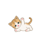 写真に貼れるちび猫【言葉なし】（個別スタンプ：5）