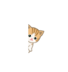 写真に貼れるちび猫【言葉なし】（個別スタンプ：11）
