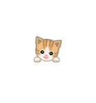 写真に貼れるちび猫【言葉なし】（個別スタンプ：12）