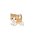 写真に貼れるちび猫【言葉なし】（個別スタンプ：13）