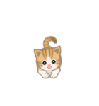 写真に貼れるちび猫【言葉なし】（個別スタンプ：14）