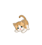 写真に貼れるちび猫【言葉なし】（個別スタンプ：18）