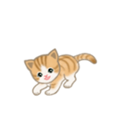 写真に貼れるちび猫【言葉なし】（個別スタンプ：19）