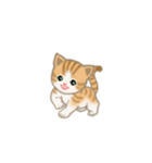写真に貼れるちび猫【言葉なし】（個別スタンプ：28）
