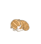 写真に貼れるちび猫【言葉なし】（個別スタンプ：30）