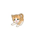 写真に貼れるちび猫【言葉なし】（個別スタンプ：33）