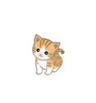 写真に貼れるちび猫【言葉なし】（個別スタンプ：34）