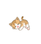写真に貼れるちび猫【言葉なし】（個別スタンプ：37）