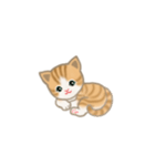 写真に貼れるちび猫【言葉なし】（個別スタンプ：38）