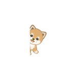 写真に貼れる よちよち豆柴【言葉なし】（個別スタンプ：6）