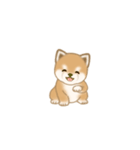 写真に貼れる よちよち豆柴【言葉なし】（個別スタンプ：18）