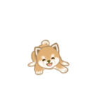 写真に貼れる よちよち豆柴【言葉なし】（個別スタンプ：32）