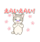 優しい ばあば猫ちゃん（個別スタンプ：4）