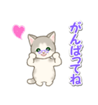 優しい ばあば猫ちゃん（個別スタンプ：5）