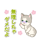 優しい ばあば猫ちゃん（個別スタンプ：7）