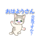 優しい ばあば猫ちゃん（個別スタンプ：13）
