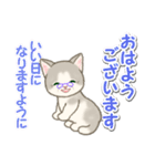 優しい ばあば猫ちゃん（個別スタンプ：14）