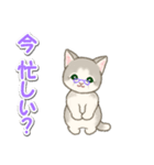 優しい ばあば猫ちゃん（個別スタンプ：19）