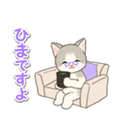 優しい ばあば猫ちゃん（個別スタンプ：20）