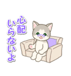 優しい ばあば猫ちゃん（個別スタンプ：36）