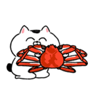 ワイロを贈る猫★挨拶・煽りに使いやすい！（個別スタンプ：18）