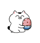 ワイロを贈る猫★挨拶・煽りに使いやすい！（個別スタンプ：21）