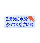 省スペース♪涼しい金魚スタンプ（個別スタンプ：11）