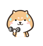 ぷにぷにシバちゃん-絵文字ステッカー（個別スタンプ：15）