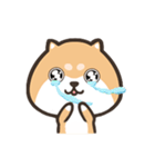 ぷにぷにシバちゃん-絵文字ステッカー（個別スタンプ：39）