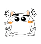 九州のことば★しろネコ（個別スタンプ：1）