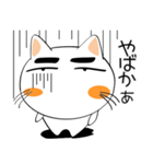 九州のことば★しろネコ（個別スタンプ：3）