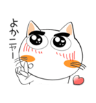 九州のことば★しろネコ（個別スタンプ：10）