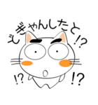 九州のことば★しろネコ（個別スタンプ：13）