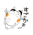 九州のことば★しろネコ（個別スタンプ：14）