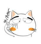 九州のことば★しろネコ（個別スタンプ：16）