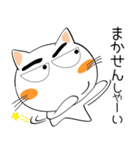 九州のことば★しろネコ（個別スタンプ：20）