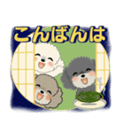 ふわふわトイプーさん達のスタンプ♡夏編（個別スタンプ：4）