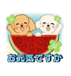 ふわふわトイプーさん達のスタンプ♡夏編（個別スタンプ：5）
